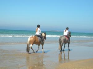 Gites Erdeven Bretagne Sud