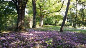 Les Jardins d'Hélène