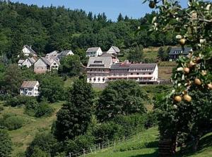 Logis Hôtel Roess