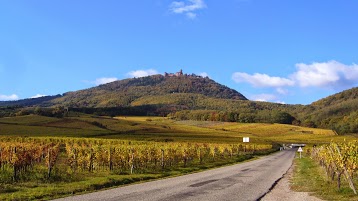 Domaine Aline et Rémy Simon