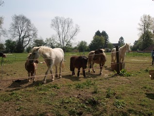 Bed & Breakfast Au Fer à Cheval Beaufour Druval