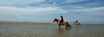 Espaces Equestres Henson