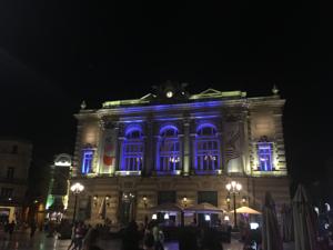 Sous Les Toits De Montpellier