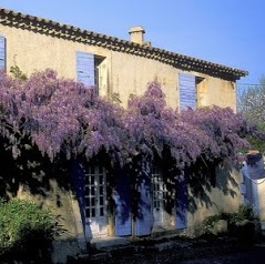 La Maison Du Paradou