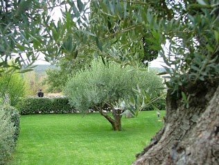 Bastide de Cassiopée