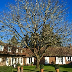 Le Clos de Bénédicte - Chambre d'hôtes