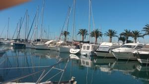 Appartement sur la Plage