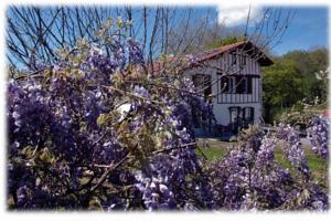 Maison d'hôtes Uhaldia