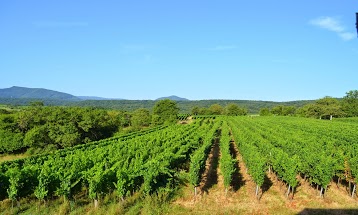 Gîte Les Hauts de Rosheim -