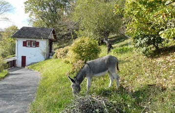 Gîte Eki Begi