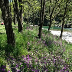 Les Gorges de l'Hérault ***