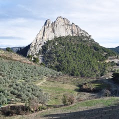 Les Hautes Terres de Provence