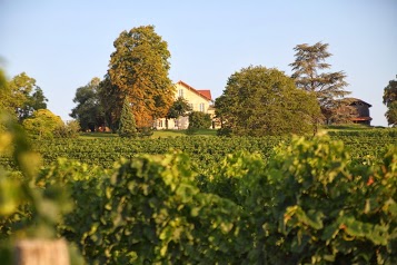 Chateau Perayne