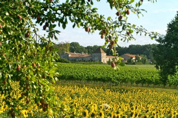 Château Des Baudry