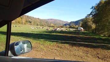 Hortiver Lombriculture Camping à La Ferme