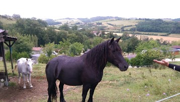 Camping le Bourdieu