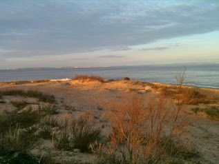 Les cabanes de pêcheurs