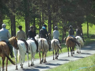 randonnée à cheval en auvergne