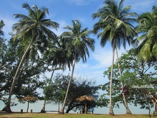 Du0027QNUT CHALET AND RESTAURANT, Kuala Sungai Baru, 78200 Kuala 