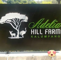 Adelia Hill Farm