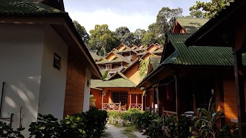 New Cocohut Chalet