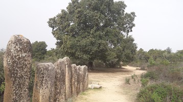 Menhirs de Palaggiu