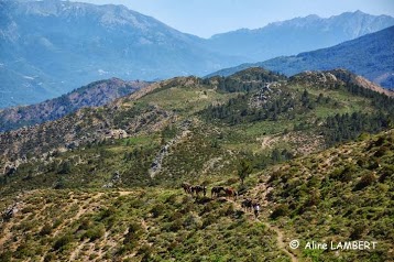 A Cheval en Corse