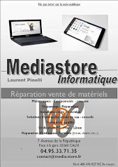 Pinelli Informatique Réparation