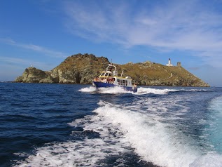 BATEAU PROMENADE EN MER DU CAP CORSE