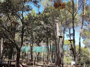 Le Royaume des Arbres - Le Castellet