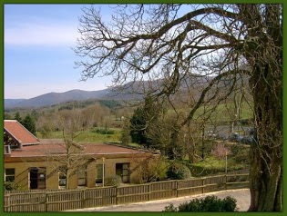 School Forester Haut Languedoc