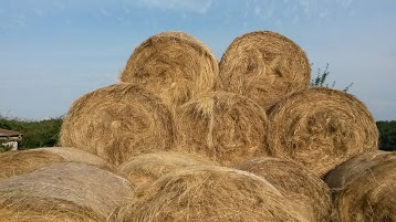 Ferme éco-citoyenne de la Bouzigue