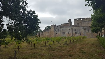 Camp de Siège Médiéval