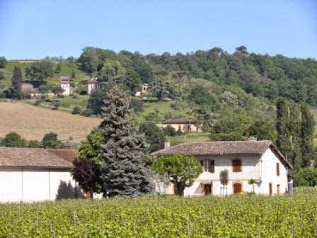 Domaine de Borie-Vieille