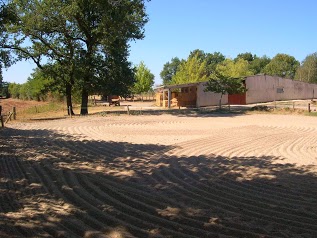 Horse Farm De Puech Merlhou