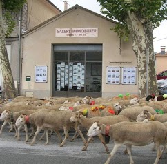 Salery Cevennes