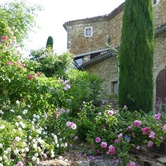 Le Jardin de l'Abbaye de Valsaintes