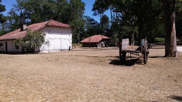 Ecomusée de la Grande Lande