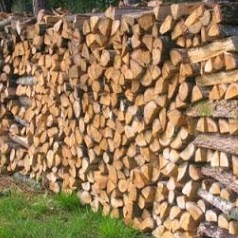 BOIS DE GASCOGNE, Vente de Granulés de Bois, Bois de Chauffage et Travaux Forestiers