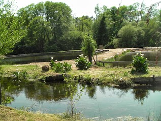 Pêche à la Truite - Pisciculture de la Pave