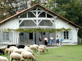 Parc naturel régional des Landes de Gascogne