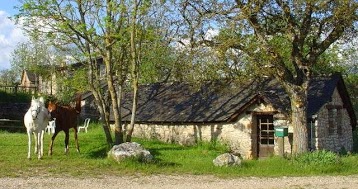 Randonnée équestre et séjours à cheval le grand sud