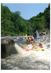 Tonic Rafting