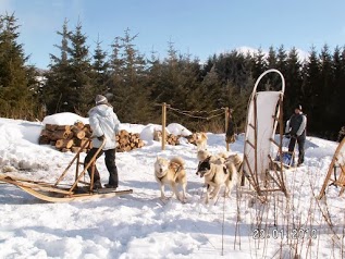 LA MEUTE D'ANGAKOQ