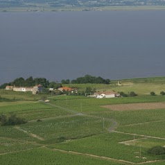 Châteaux Tour Castillon & Moulin de Taffard - Médoc Cru Bourgeois