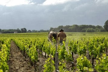 Domaine de Faugeroux