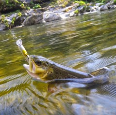 Pêchez en Pays Gentiane