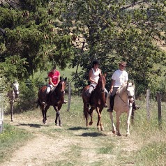 Equestrian Center De Zanières