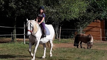 Riding Holidays in France - Dordogne