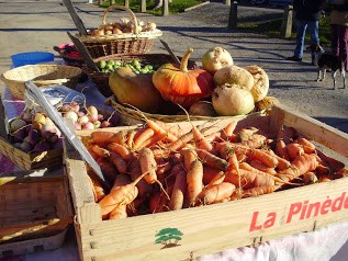 Le jardin maraîcher